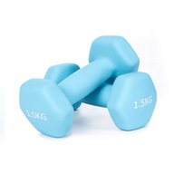 Sada liatinových činiek, činky, 2x1,5kg Sada liatinových činiek, činky, 2x1,5kg