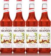 Monin Winter Spice sirup s príchuťou 700 ml zimný x4 Monin Winter Spice sirup s príchuťou 700 ml zimný x4