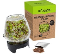 TWIST-OFF BROWIN JAR GERMINANT TWIST-OFF BROWIN JAR GERMINANT