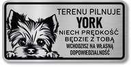 Nerezová doska značky Pozor Dog York Nerezová doska značky Pozor Dog York