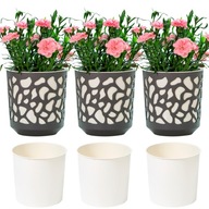 SET 3x ČREŇNÍK ZÁHRADNÝ ČREVÍN 19,5cm SET 3x ČREŇNÍK ZÁHRADNÝ ČREVÍN 19,5cm