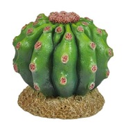 Rastlina FEROCACTUS kaktus 9cm Rastlina FEROCACTUS kaktus 9cm