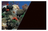 ZOLUX Obojstranné pozadie do akvária 60 x 120 cm koralové/čierne