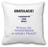 Vankúš Darček pri odchode kolegu z práce Vankúš Darček pri odchode kolegu z práce