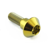 PROBOLT TITÁNOVÝ VALEC Skrutka YAMAHA YZF-R1 25 PROBOLT TITÁNOVÝ VALEC Skrutka YAMAHA YZF-R1 25