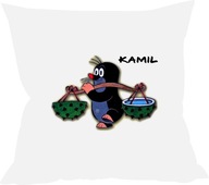 Vankúš MOLE s názvom VÝBER Vankúš MOLE s názvom VÝBER