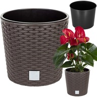 HRENC HRENC RATTAN ZÁHRADNÁ MISKA UMBRA + VLOŽKA HRENC HRENC RATTAN ZÁHRADNÁ MISKA UMBRA + VLOŽKA