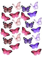 Potlač cukrovej pasty na tortu Butterfly Potlač cukrovej pasty na tortu Butterfly