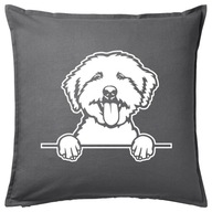Vankúš LAGOTTO ROMAGNOLO DOG DOG 50x50 darček Vankúš LAGOTTO ROMAGNOLO DOG DOG 50x50 darček