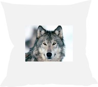 Vankúš WOLF s názvom VEĽKÝ VÝBER Vankúš WOLF s názvom VEĽKÝ VÝBER