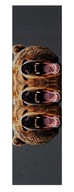 Grizzly skateboard grip - 3 Bears Grizzly skateboard grip - 3 Bears