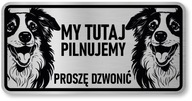 Pozor pes Border Collie sign Pozor pes Border Collie sign
