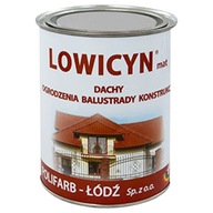 LOWICYN Graphite MAT 10L strešný email