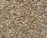 Vystrelené slnečnicové kŕmenie vtákov pre vtáky, ktoré zimujú k podávača 3 kg Vystrelené slnečnicové kŕmenie vtákov pre vtáky, ktoré zimujú k podávača 3 kg