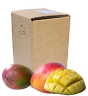 MANGO šťava 100% 5l (v kartóne) - prírodná, NFC