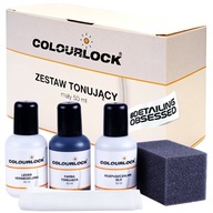 COLOURLOCK TÓNOVACÍ SET Volvo Béžová 50ml COLOURLOCK TÓNOVACÍ SET Volvo Béžová 50ml