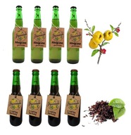 Dulcová limonáda 4x klasický 4x čaj 2640ml Dulcová limonáda 4x klasický 4x čaj 2640ml