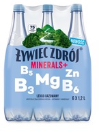 Żywiec Zdrój Minerály+ mierne sýtená voda 1,2 l Żywiec Zdrój Minerály+ mierne sýtená voda 1,2 l