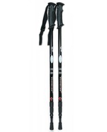 PALICE NA NORDIC WALKING SADA TREKINGOVÝCH PALICE 2 PALICE NA NORDIC WALKING SADA TREKINGOVÝCH PALICE 2