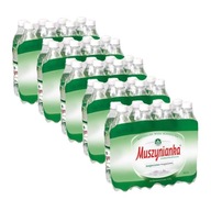 Muszynianka nízkosýtená CO2 voda 0,6 l 40 kusov Muszynianka nízkosýtená CO2 voda 0,6 l 40 kusov