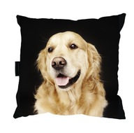 VANKÚŠ so psíkom ZLATÝ RETRIEVER 40x40 DARČEK VANKÚŠ so psíkom ZLATÝ RETRIEVER 40x40 DARČEK