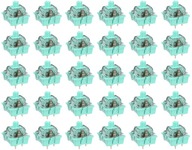 RK Sky Cyan SPÍNAČ MECHANICKÝ SPÍNAČ 30 ks RK Sky Cyan SPÍNAČ MECHANICKÝ SPÍNAČ 30 ks