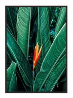 OBRAZOVÝ PLAGÁT V RÁME 33x43 cm Listy P645 OBRAZOVÝ PLAGÁT V RÁME 33x43 cm Listy P645