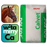 Dolfos CALVET Vitamíny Aminokyseliny Calcium HORSES 10kg