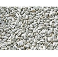 Egyptské cardi pre holuby, papagáje, hlodavce 5kg Egyptské cardi pre holuby, papagáje, hlodavce 5kg