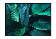 OBRAZOVÝ PLAGÁT V RÁME 73x53 cm Listy P1124 OBRAZOVÝ PLAGÁT V RÁME 73x53 cm Listy P1124