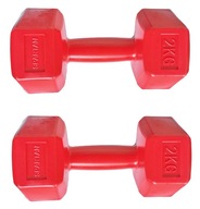 Sada činiek SPARTAN 2 x 2 kg Sada činiek SPARTAN 2 x 2 kg