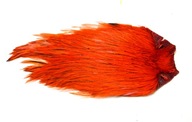 Taimen kapka India Cock Capes Farba Orange