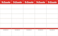 ŠTÍTKY PRE Esselte Binder Binders, POSUVNÉ 50x158mm, BINDERS 75mm, 10ks x5