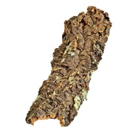 Pásy z korkového dubu, odrezky, úkryt VEĽKÉ ŠMYKY do 50 cm 1-1,20 kg Pásy z korkového dubu, odrezky, úkryt VEĽKÉ ŠMYKY do 50 cm 1-1,20 kg
