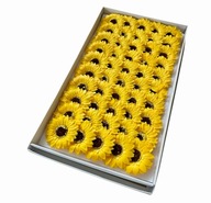 50x Slnečnica sedmokrásky mydlo kvety kvetináč