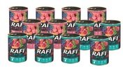 RAFI JUNIOR - Mix príchutí - 12x 400g