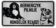 Pozor na znamenie: Bernský salašnícky pes a baranček Pozor na znamenie: Bernský salašnícky pes a baranček