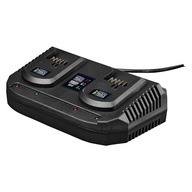Multiseries Dual Charger