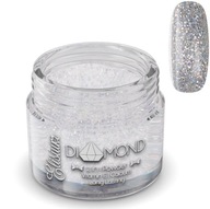 ELISIUM TITÁNOVÝ PRÁŠOK SILVER D06 23g ELISIUM TITÁNOVÝ PRÁŠOK SILVER D06 23g