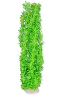 UMELÁ RASTLINA DO AKVÁRIA 65cm ZELENÁ UMELÁ RASTLINA DO AKVÁRIA 65cm ZELENÁ