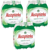 Muszynianka Minerálna voda nízkosýtená 18x1,5l Muszynianka Minerálna voda nízkosýtená 18x1,5l