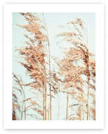 Plagát Boho TRAVINY 40x50 cm #20J Plagát Boho TRAVINY 40x50 cm #20J