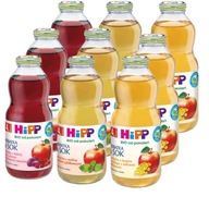 HiPP BIO Bio Tea & Juice, mix príchutí 9x500ml