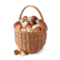 Nákupný košík na huby z prútia WNUK, 30 cm Nákupný košík na huby z prútia WNUK, 30 cm
