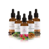 ESENCIÁLNE OLEJE DO SAUNY SET 5 X 20ML Č.10