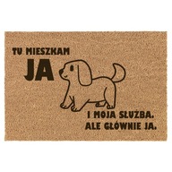 Vchodová rohožka, malý DOG HOME Vchodová rohožka, malý DOG HOME
