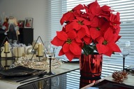 Vianočná dekorácia na stôl s červenými kvetmi R14