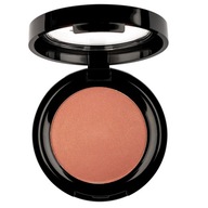 PIERRE RENE PROFESSIONAL ROUGE PWDER LUSH 07 6G PIERRE RENE PROFESSIONAL ROUGE PWDER LUSH 07 6G