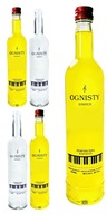 5x sklenená fľaša s ohnivou potlačou 500 ml pre topBottles Moonshine Vodka 5x sklenená fľaša s ohnivou potlačou 500 ml pre topBottles Moonshine Vodka