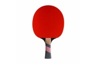 EXCEL CARBON 3000 CORNILLEAU PINGPONG BALET EXCEL CARBON 3000 CORNILLEAU PINGPONG BALET
